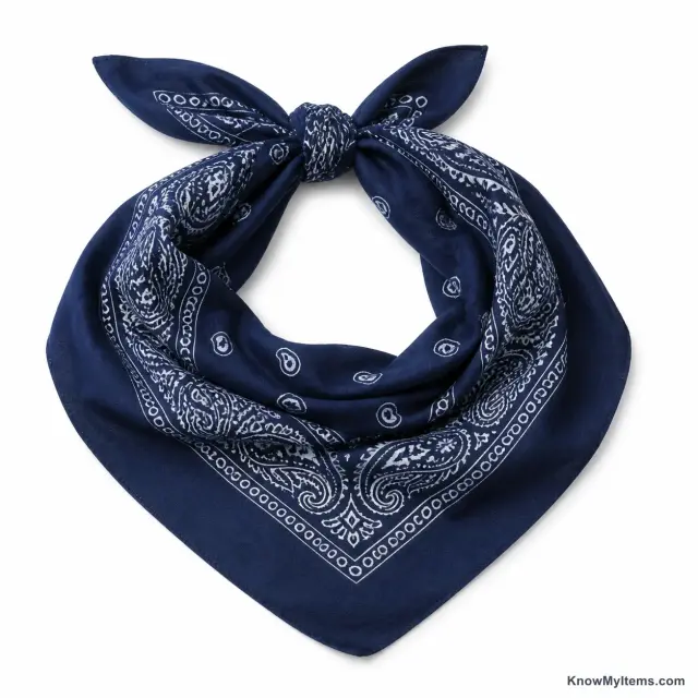 Bandana product photograph matching this style definition