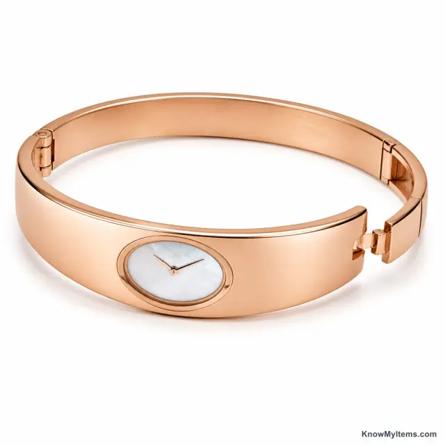Bangle Watch product photograph matching this style definition