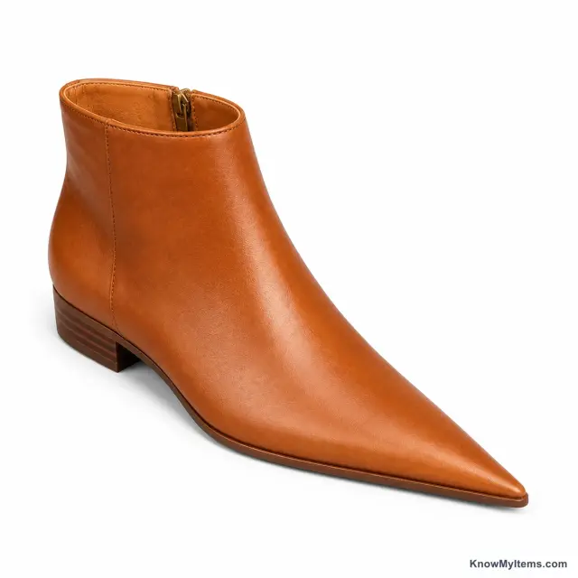 Pointed Toe product photograph matching this feature definition