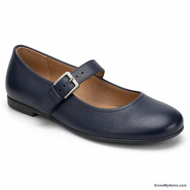 Buckle product photograph matching this feature definition
