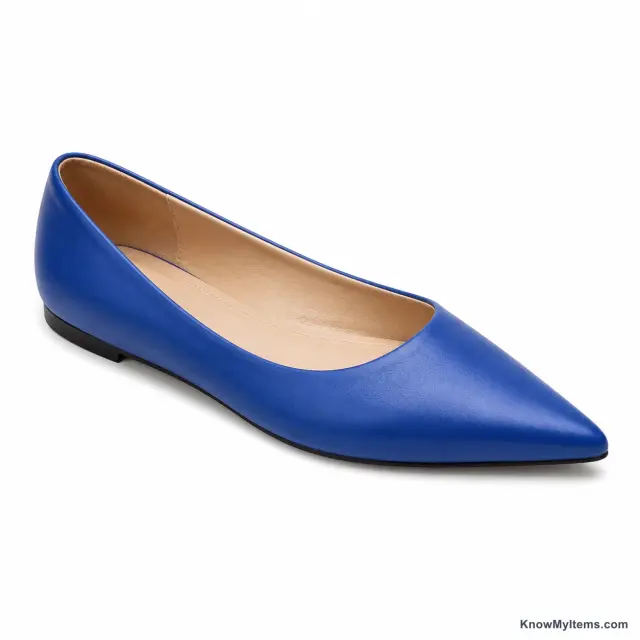 Pointed Toe product photograph matching this feature definition