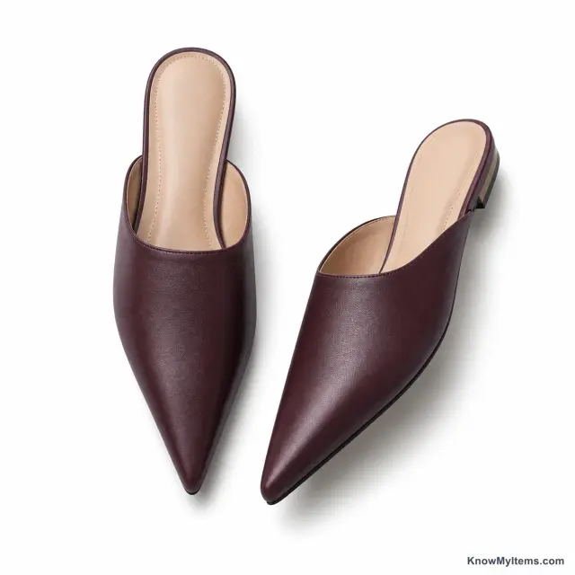 Pointed Toe product photograph matching this feature definition