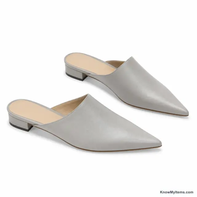 Pointed Mule product photograph matching this style definition